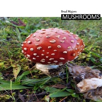 Mushrooms