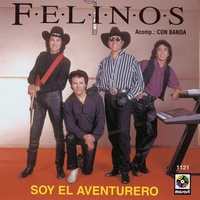 Yo Quiero Quebrarte Los Felinos