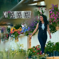 Mix Chachachay: La Botella de Aguardiente / Huayno Chachachay