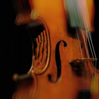 Beethoven Symphony No. 5 "Fate"