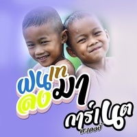 ฝนเทลงมา