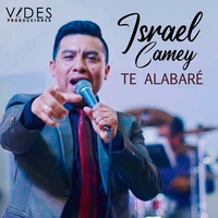 Estar por Siempre en Tus Brazos
