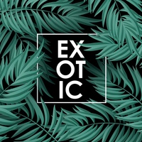 Irish and Celtic miscellaneous ethnic music(219916)