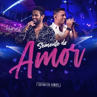 Semente do Amor - Ao Vivo