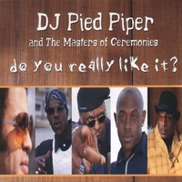 Do You Really Like It? (Radio Edit)