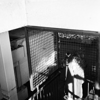 nine thirty (the glow)