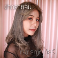 ฝากสายลม