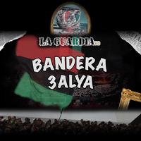 Bandera 3Alya