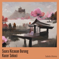 Suara Kicauan Burung Kacer Sekoci