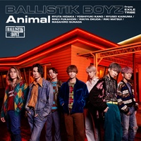 Animal INTRO ver.