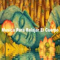 Sonido de la Naturaleza