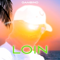 Loin