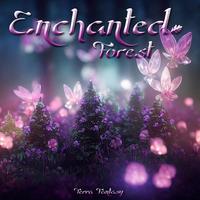 Enchanted Forest