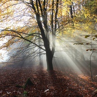 Mystical Autumn (Original Motion Picture Soundtrack)