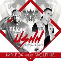 Ushh - Remix