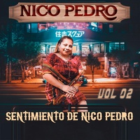 SENTIMIENTO DE NICO PEDRO