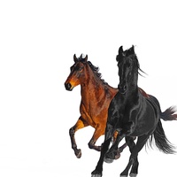 Sound image