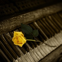 Fikrimin İnce Gülü (Piyano Versiyon)