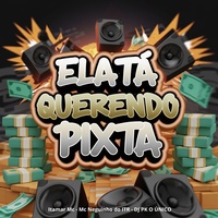 Ela Tá Querendo Pix Ta