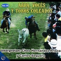 Desde el Coso Hasta el Tapón