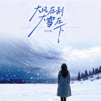大风在刮大雪在下 - Dj魅音版