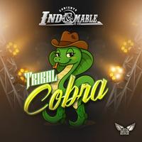 Tribal Cobra
