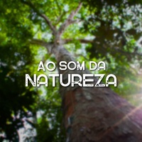 Nature is beautiful
