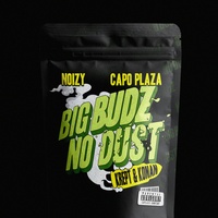 Big Budz No Dust - Capo Plaza Verse