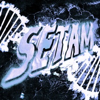 SETAM (Slowed)