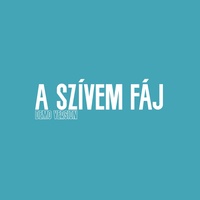 A szívem fáj - Demo Version