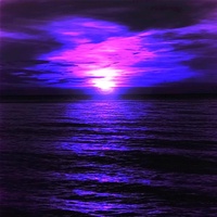 Dark Beach - Echo Cover