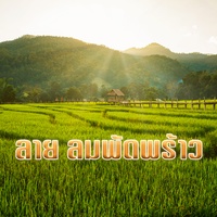 ลาย ลมพัดพร้าว