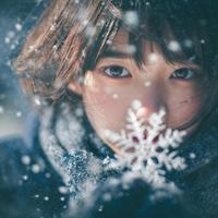 冬の六花