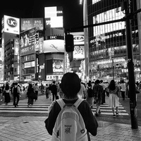 monochrome