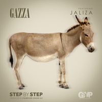 Step by Step