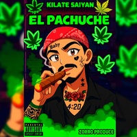EL PACHUCHE