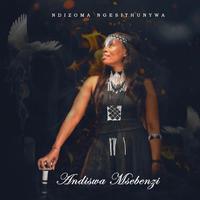 Ndizoma Ngesithunywa