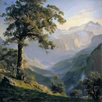 山林晨光