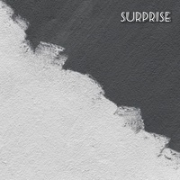 Surprise