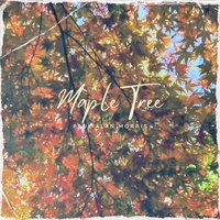 Maple Tree