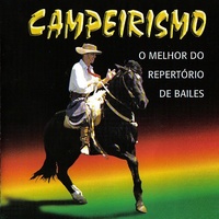 Um Bagual Corcoveador