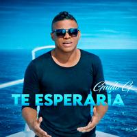 Te Esperaría