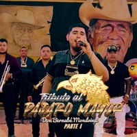 Tributo al Pajaro Mayor, Pt.1 - En Vivo