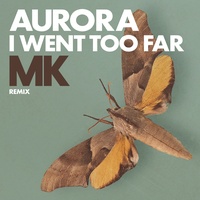 I Went Too Far - MK Remix / Radio Version