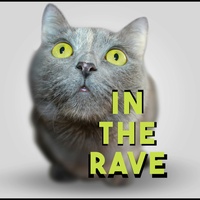 In The Rave