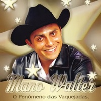 Sintomas da solidão