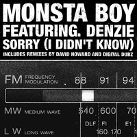 Song - Sorry! (I Didn't Know) - David Howard Remix