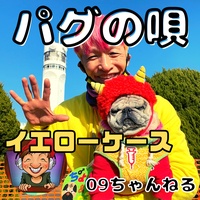 Pug Song