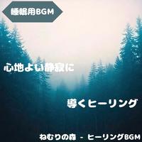 "Sleep BGM" A night to surrender to the sounds of the forest