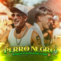 Perro Negro